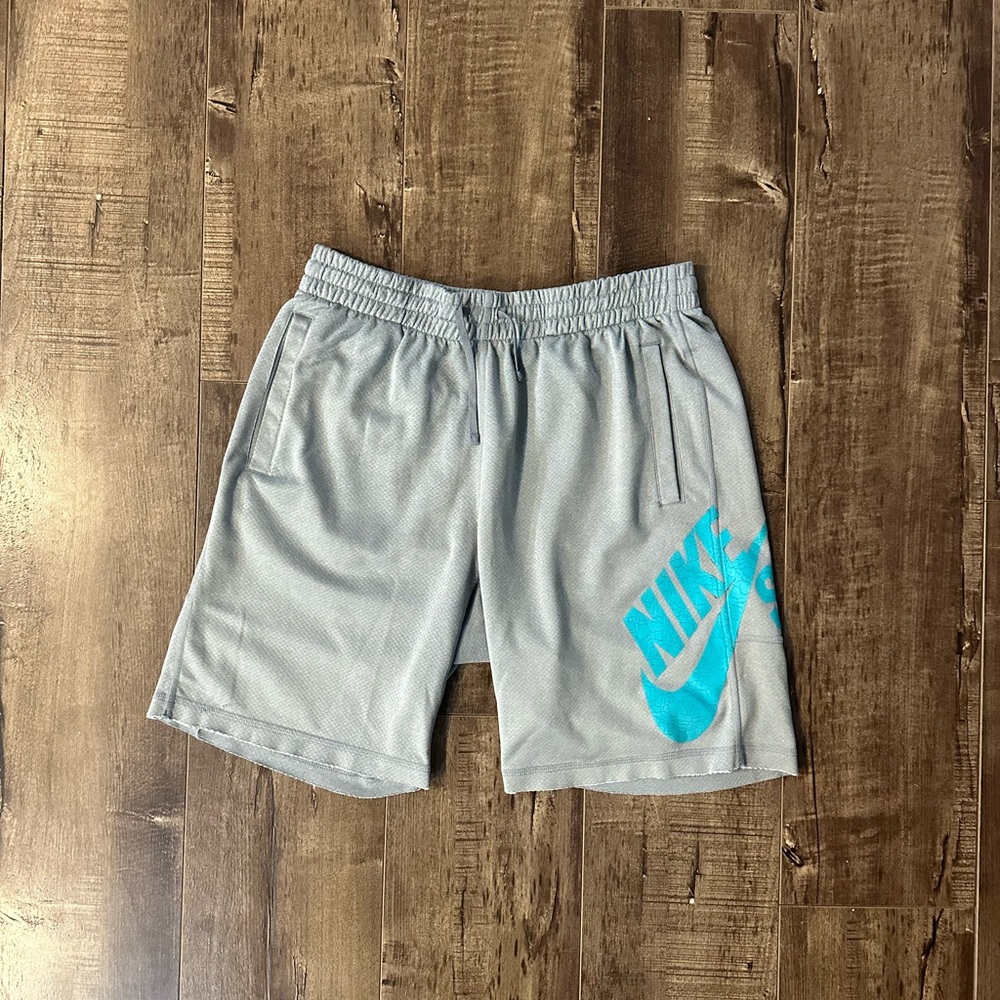 Nike SB active shorts